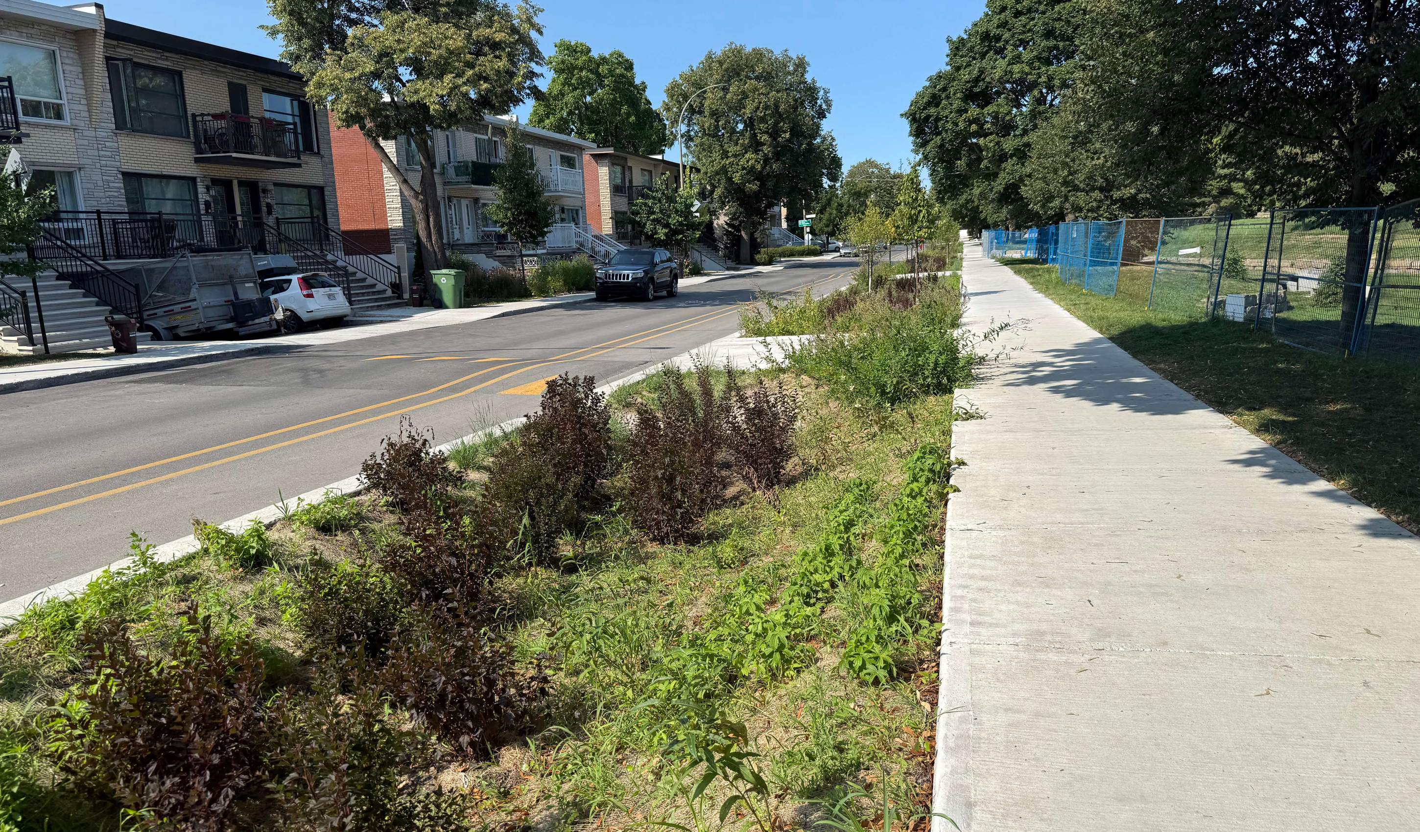  IGFaxiom - Projet - Réaménagement du parc Pierre Bédard en un parc résilient - image # 9