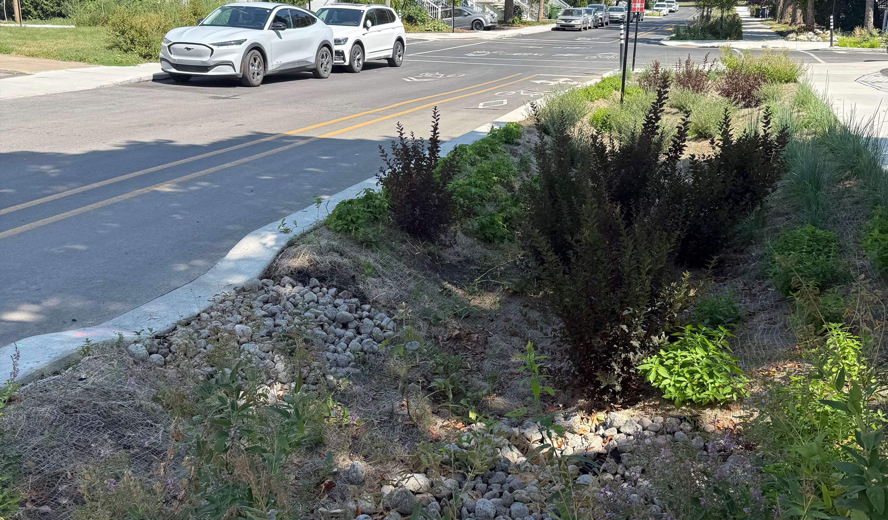  IGFaxiom - Projet - Réaménagement du parc Pierre Bédard en un parc résilient - image # 5